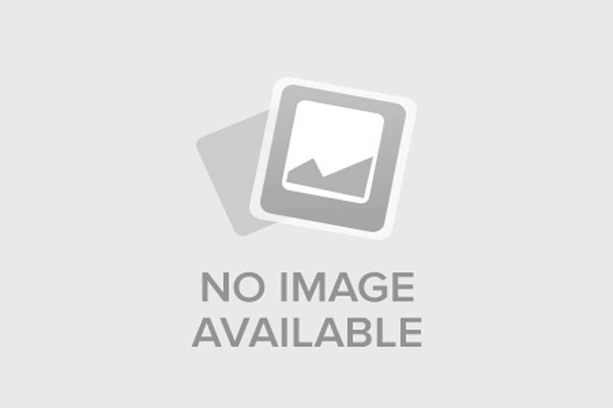 Письмо Деду Морозу (2025)